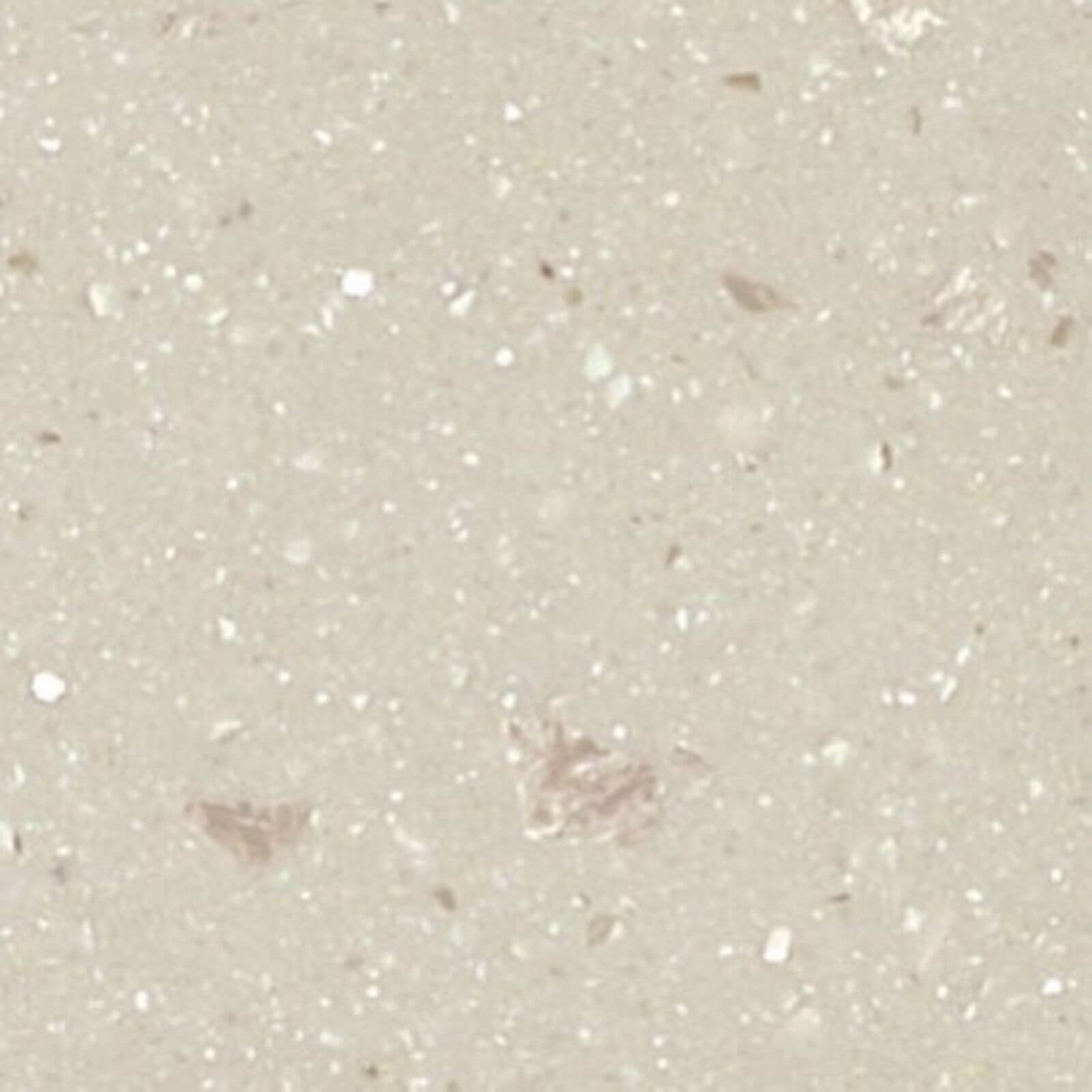 Maia Fossil Half Splashback - 1800 x 580 x 10mm