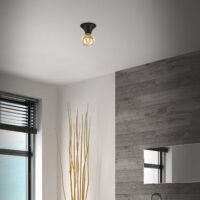 Briloner Tepel ceiling light bathroom IP44 E27 black