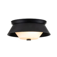 Bowtie 2 Light Bathroom Ceiling Light, Matte Black IP44