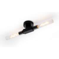 Conesville Bathroom 2 Light Wall Lamp, Ceiling Lamp, E27, IP44, Satin Black
