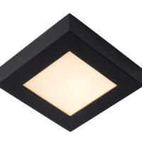 Brice-Led Modern Flush Ceiling Light Bathroom - LED Dim. - 1x15W 3000K - IP44 - Black