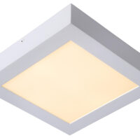 Brice-Led Modern Flush Ceiling Light Bathroom - LED Dim. - 1x20W 3000K - IP44 - White