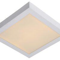 Brice-Led Modern Flush Ceiling Light Bathroom - LED Dim. - 1x30W 3000K - IP44 - White