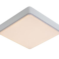 Ceres-Led Modern Flush Ceiling Light Bathroom - LED Dim. - 1x30W 3000K - IP44 - White