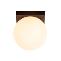 Tassa Flush ceiling light Bathroom Ø13.5cm LED Dim to warm 1800K/3000K IP40 - Black
